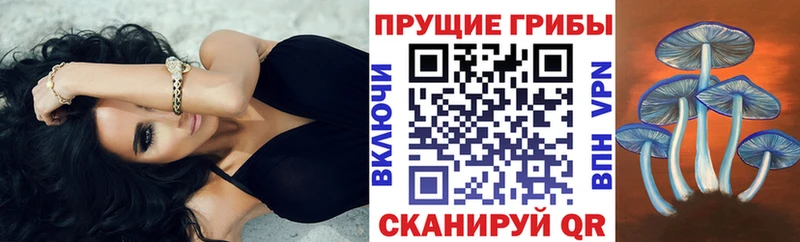 что такое наркотик  Сим  Галлюциногенные грибы прущие грибы 